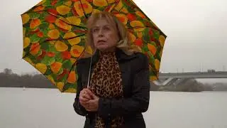 Нина ЯНИЦКАЯ. Дыхание вьюг.