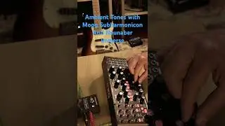 Ambient Tones with 