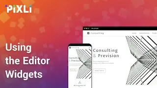 Using the Editor Widgets
