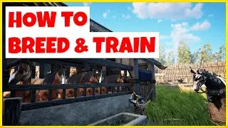 HOW TO BREED AND TRAIN HEAVENLY HORSES | MYTH OF EMPIRES