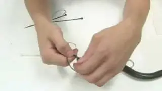Rigging an Eel