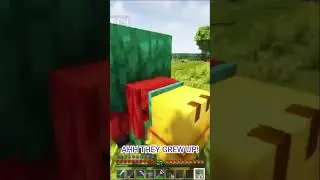 MINECRAFT SNIFFERS ARE TOO ADORABLE #shorts  #minecraft #mcyt