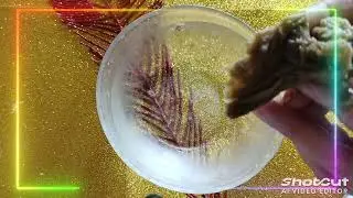 ✨Волшебное время! "Открытие портала" ✨#магия #гадание #808