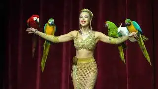 Elisa Cussadie - Parrot act / Papagájszám - 15. Budapest Circus Festival - 2024 - Silver / Ezüst díj