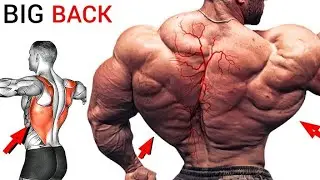 Most Effective Back Workout At Gym