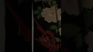 IMG 3927