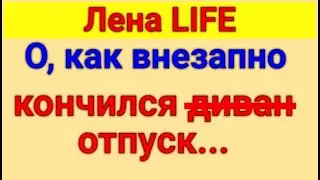 Лена LIFE. Обзор влогов  22 08 2024 Лена