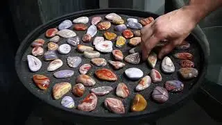 The Best Tumble Agate Collection That I Have Ever Seen