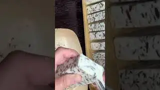 Рассольное мыло с нуля «Конфетти»