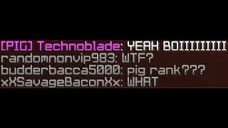 PIG RANK ON HYPIXEL