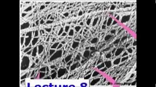 08  Cell Structure and function Cytoskelton  Dr Essam Ibrahim علوم صحية
