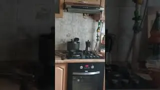 Голубь Степан поедатель гречки!