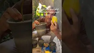 لاترمي بذور المانجو🥭شتلات وأشجار مانجا مثمرة بالمجان وبمنتهي البساطة🥭🌿👌زراعة بذور المانجو