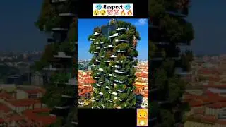 Respect Build Tree House, Short 🥶💯🇿🇼 #shorts