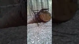 Гуманный КС-140.