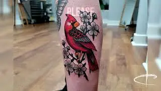 NEO TRADITIONAL CARDINAL TATTOO- by Corey Lewis