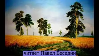 Рожь  Рожь  Александр Твардовский   читает Павел Беседин