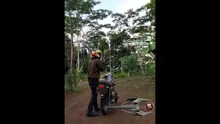 RX KING IKUT PANEN PADI SAWAH