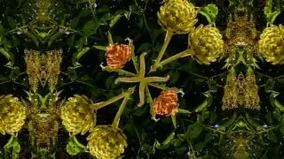 Artichoke Flute