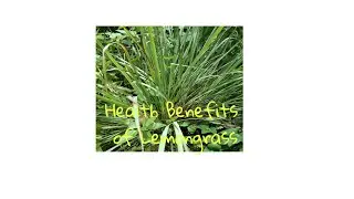 Health Benefits of Lemongrass
