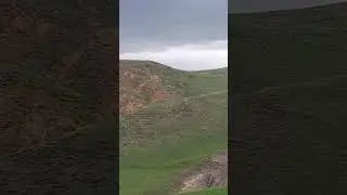 12 Mayıs 2024