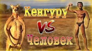 Человек против кенгуру (Озвучка Ivona Maxim) 12+
