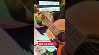 CLASSICAL GUITAR PLUS ZOOM H4N EFFECT 