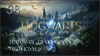 Hogwarts  Legacy  - Часть 38 - Задача Профессора Чесноук 2