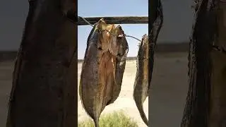 bago ako maligo  tignan ko muna yung ginawa kjng isdang pindang..