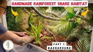 DIY Reptile Enclosure Build: Colombian Rainforest (Part 1)