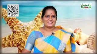 Class 3  English  Breezy Beach  Poem  Term 3  Unit 3  Part 1