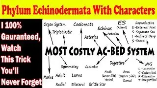 Phylum Echinodermata Short Trick NCERT, ETEA, NEET, JIPMER, AIIMS | Learning With Khan