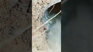 The inside of your septic system field lines. (gravel & pipe system)