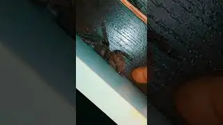 Ты чё обиделась?