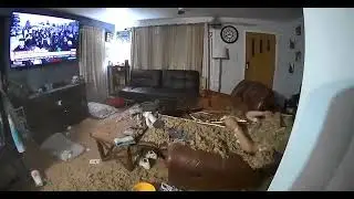 Невозмутимость