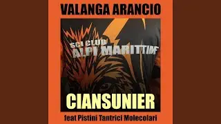 VALANGA ARANCIO (feat. Pistini Tantrici Molecolari)