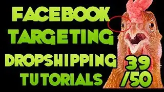 Laser Facebook Interest Targeting for Dropshipping - [Free DropShipping Video Tutorials # 39/50]