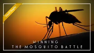 Game Changer: Will We Finally Defeat the World's Deadliest Animal?