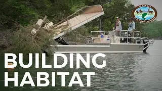 Building More Fish Habitat at Beaver Lake