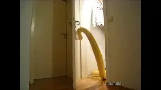 ragtime snake