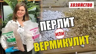 Perlite or Vermiculite - Which is Better?