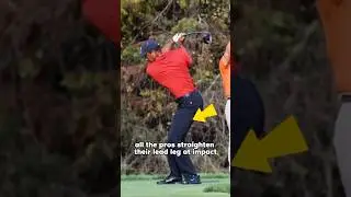 Watch the lead leg 👀 