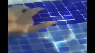 footage of a OCD patient in a pool with misaligned pool tiles