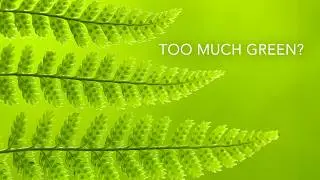 Don't be put off by the Green Season