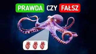Czy ośmiornice mają trzy serca i inne dzikie fakty?