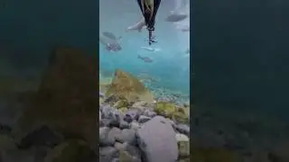 РЫБАЛКА ПЛАТО ПУТОРАНА