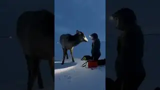 fishing in Kazakhstan  Зимняя рыбалка в Казахстане