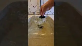 За сколько уйдет целая раковина воды? Измельчитель отходов - InSinkErator