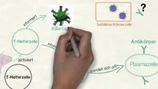 Spezifische Immunreaktion