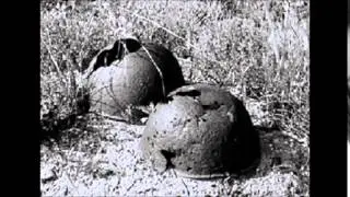 военный репортаж